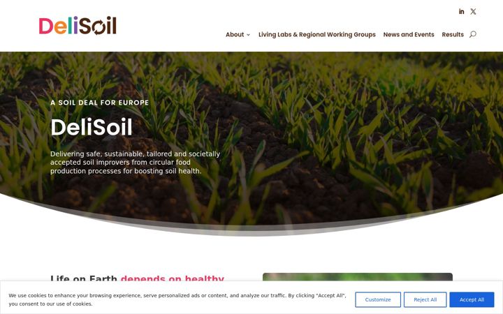 Screenshot of delisoil.eu