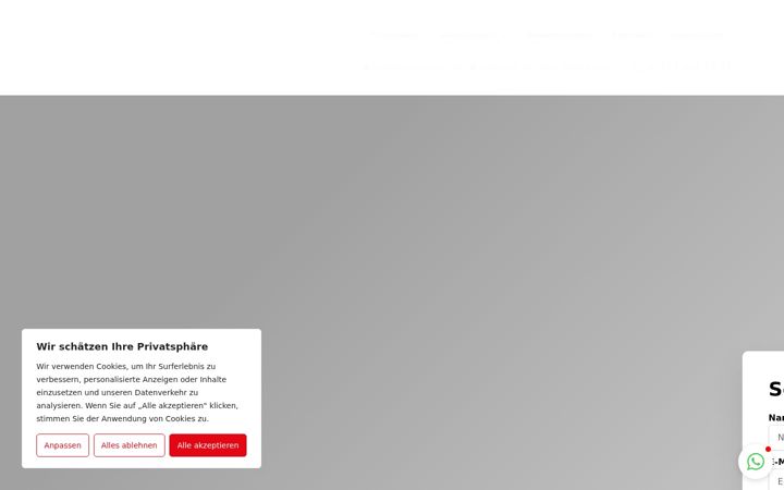 Screenshot of deliu-daemmtec.de