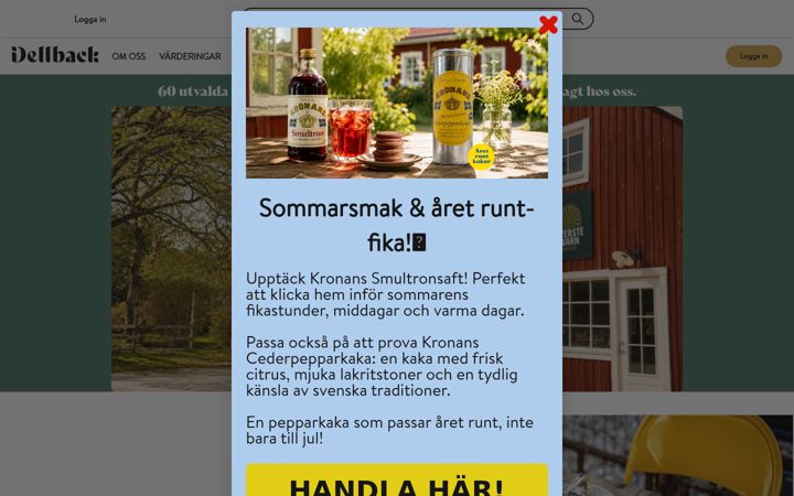 Screenshot ta' dellback.se