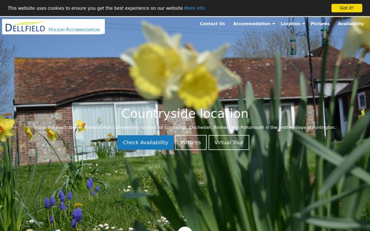 Screenshot of dellfield.com