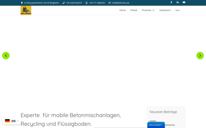 Screenshot of dellschau.de