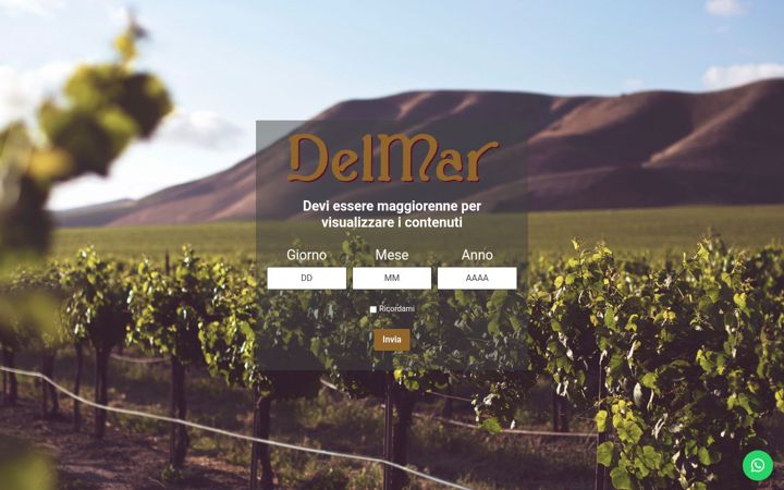 Screenshot of delmarvini.it