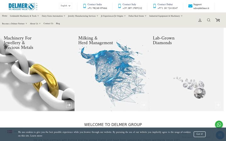 Screenshot of delmer.it