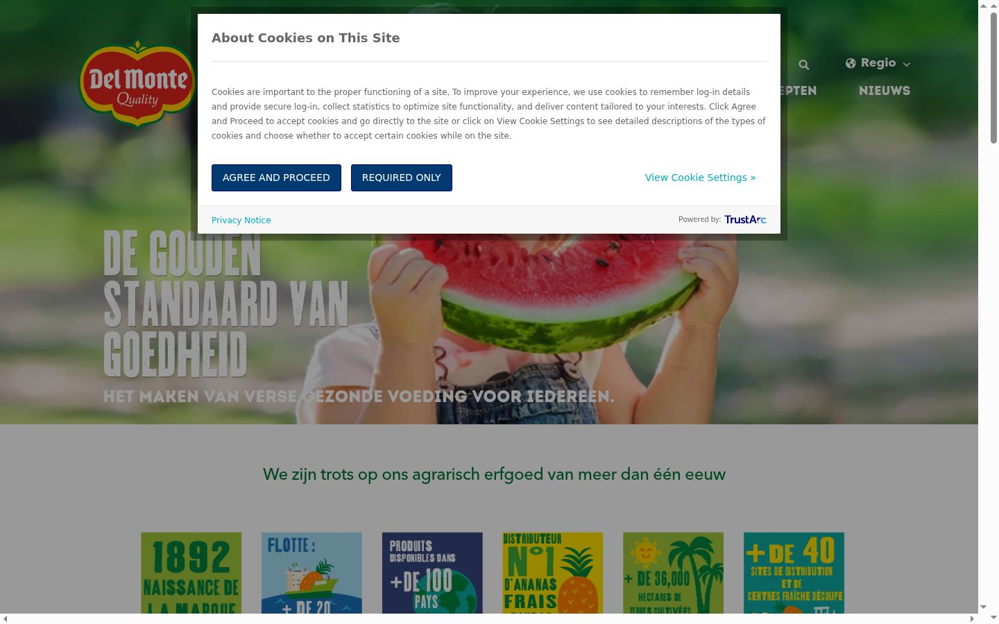 Screenshot of the consent banner shown before any interaction