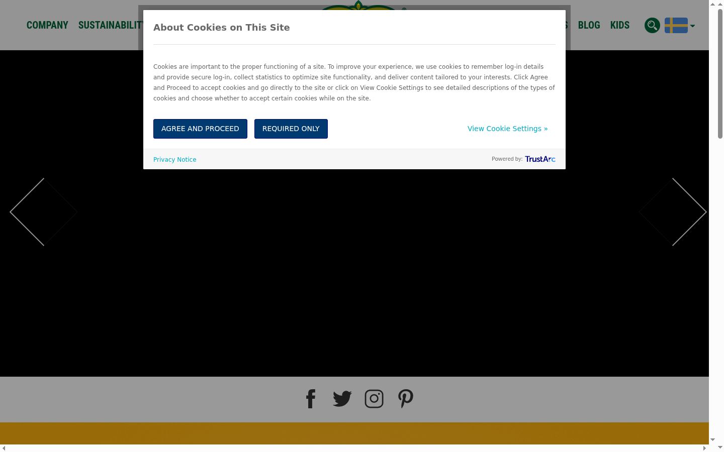 Screenshot of the consent banner shown before any interaction