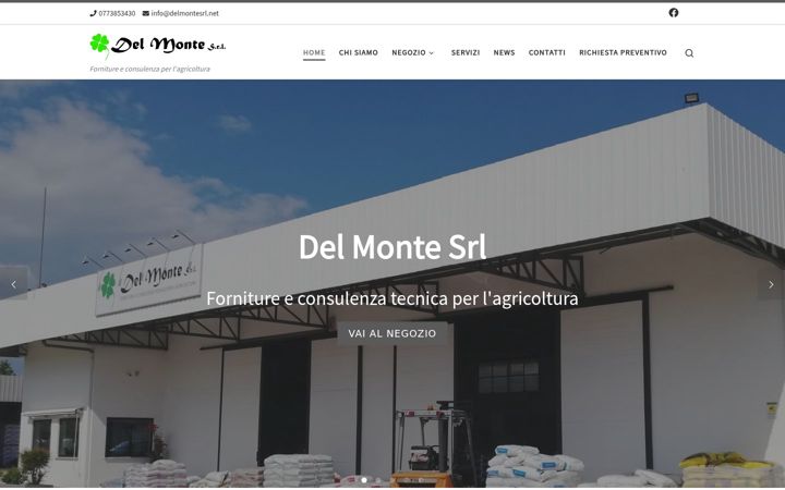 Skjermbilde av delmontesrl.net