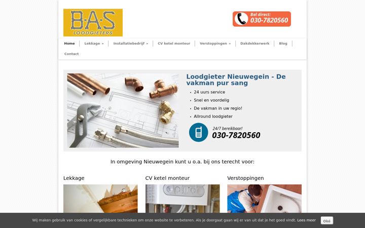 Екранна снимка на deloodgieternieuwegein.nl