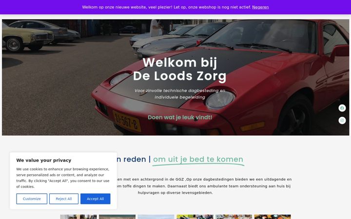 Screenshot of deloodszorg.nl