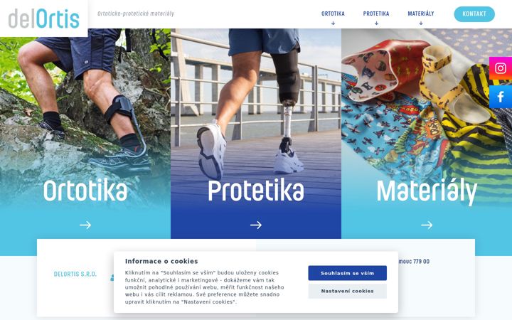 Screenshot stránky delortis.cz
