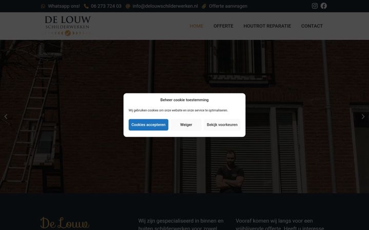 Screenshot of delouwschilderwerken.nl