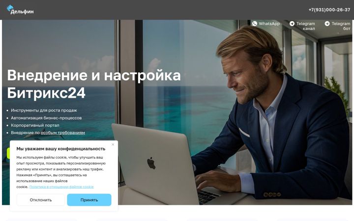 Screenshot of delphin-pro.ru