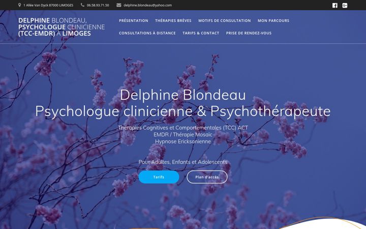 Screenshot of delphineblondeau-psy-limoges.fr