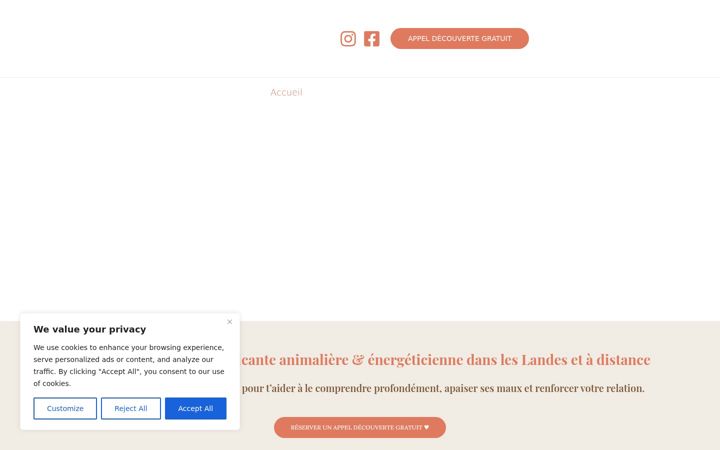 Screenshot of delphinecarre.fr