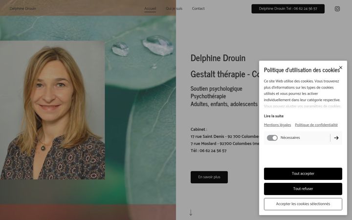Screenshot of delphinedrouin.fr
