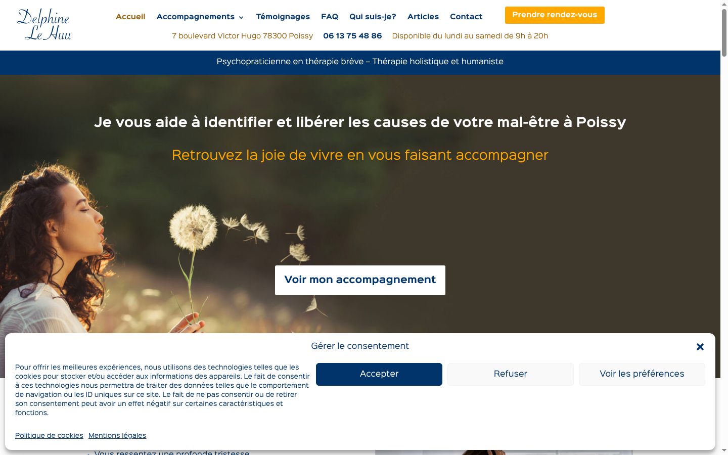 Screenshot of the consent banner shown before any interaction