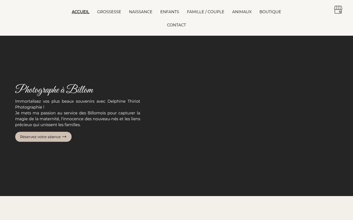 Screenshot of delphinethiriotphotographie.fr