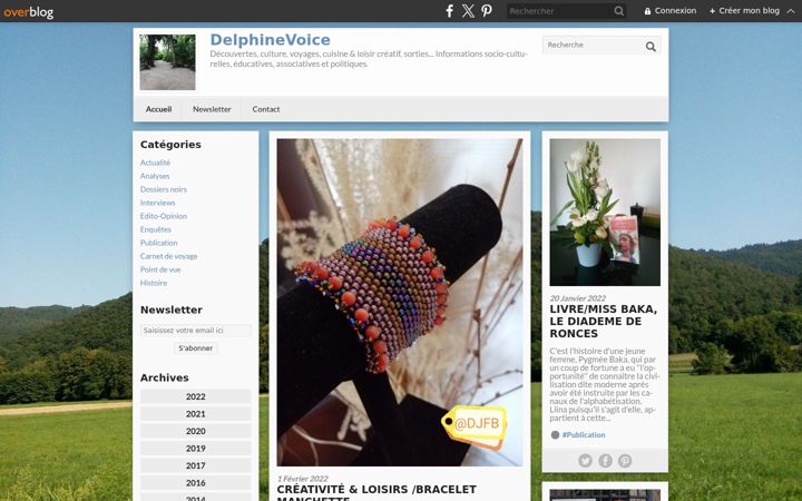 Screenshot of delphinevoice.fr