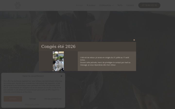 Screenshot of delphosteo.fr