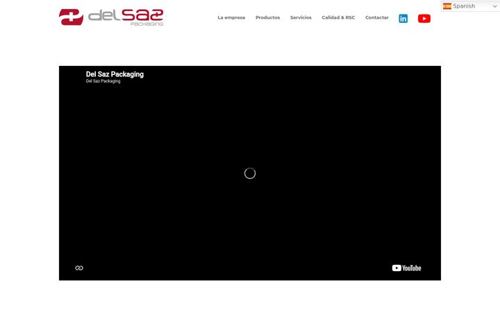 Screenshot of delsaz.com