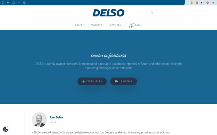 Screenshot of delso.com