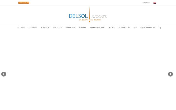 Screenshot of delsolavocats.fr