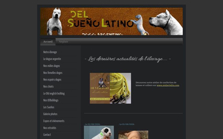 Screenshot of delsuenolatino.fr