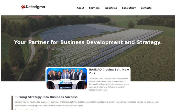 Screenshot of deltasigmasrl.com