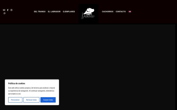 Screenshot του deltrangolabradores.es