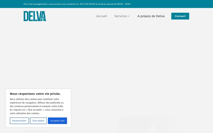 Screenshot of delvafrance.fr