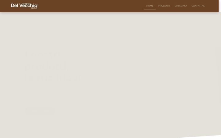 Screenshot of delvecchiogroup.com