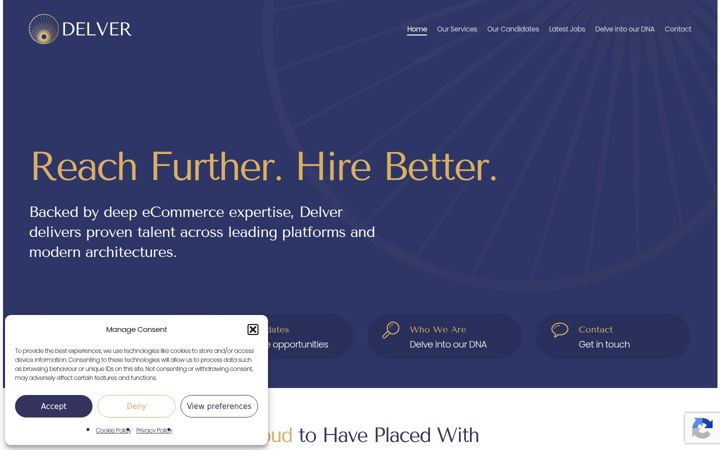 Screenshot of delverhire.com