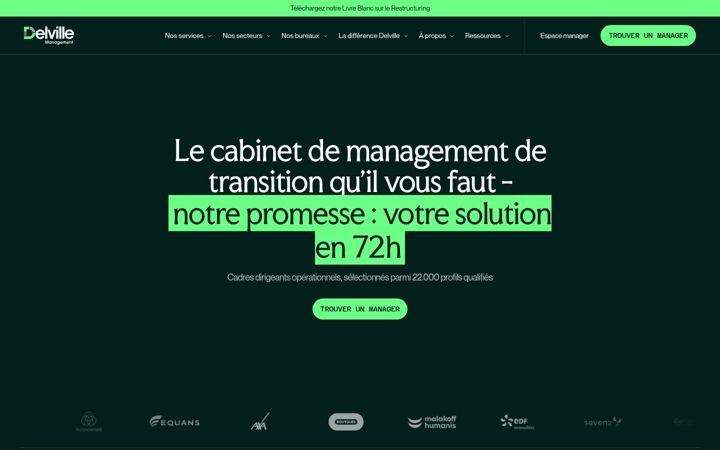 Screenshot of delville-management.com