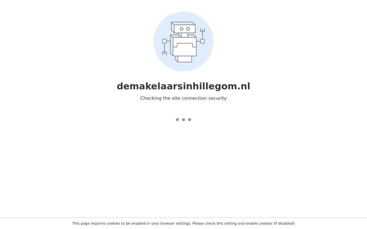 Ekraanipilt saidist demakelaarsinhillegom.nl