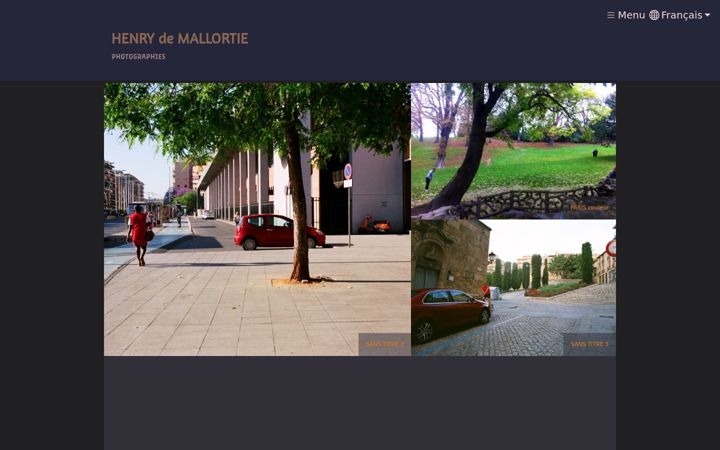 Screenshot of demallortie.com