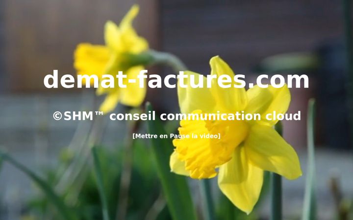 Skjermbilde av demat-factures.fr