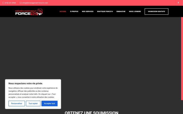 Screenshot of demenagement-force10.com