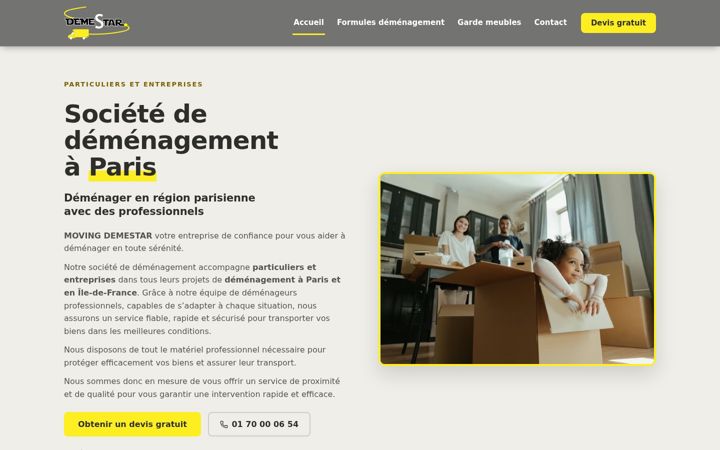 Screenshot of demestar.com