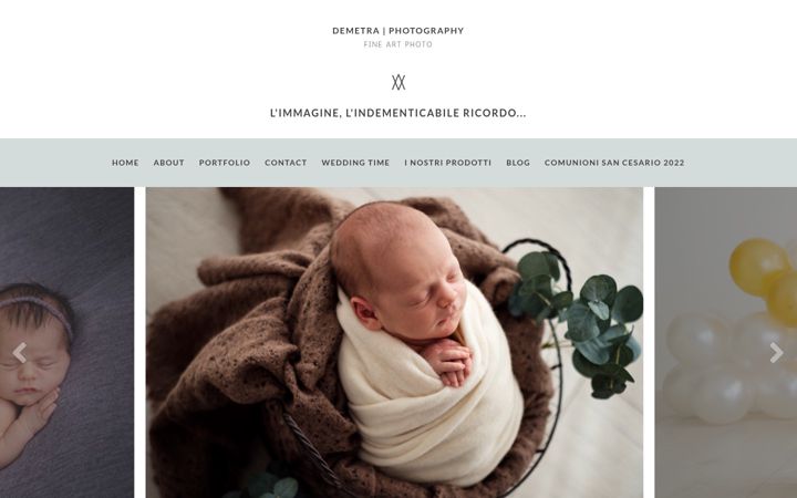 Screenshot of demetrafotografica.it