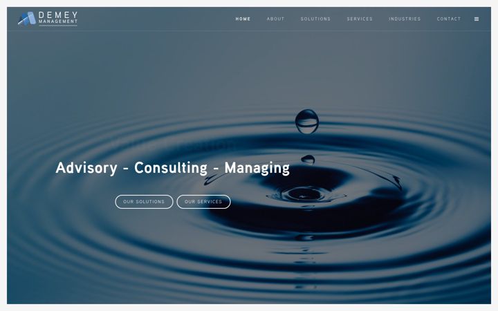 Screenshot of demeymanagement.be