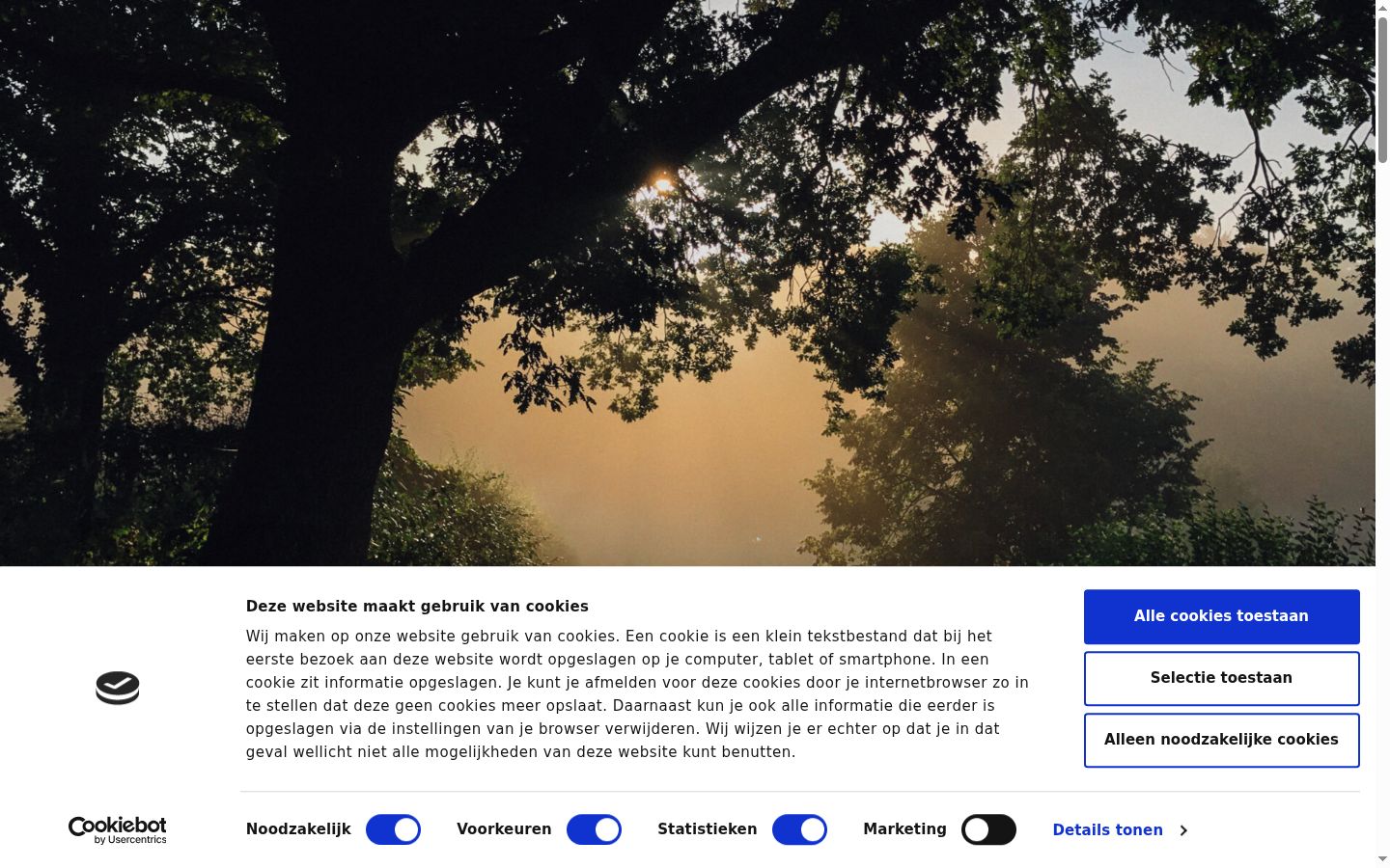 Capture d'écran de la bannière de consentement affichée avant toute interaction