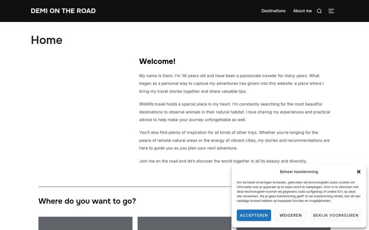 Screenshot of demiontheroad.com