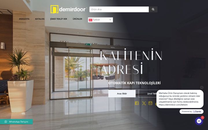 Screenshot of demirdoor.com