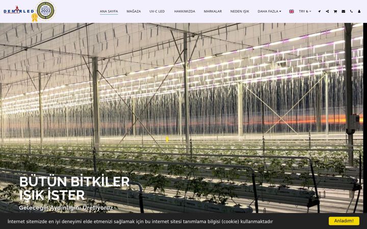 Screenshot of demirled.com