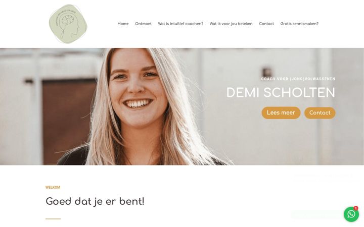 Capture d'écran de demischolten.nl