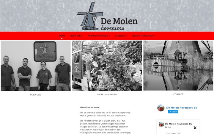 Skjermbilde av demolenhoveniers.nl