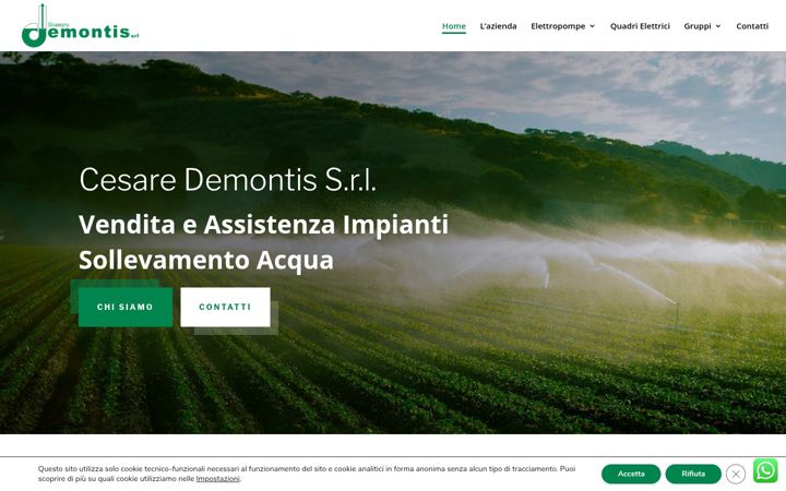 Screenshot of demontissrl.com