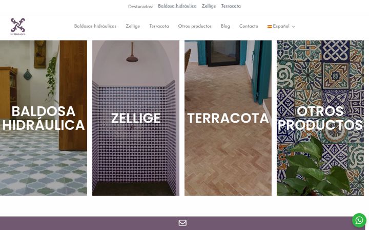 Screenshot of demosaica.com