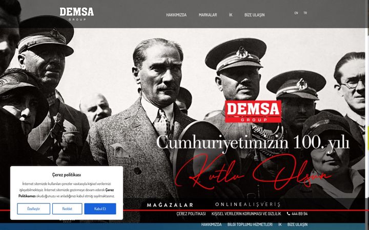 Screenshot of demsagroup.com