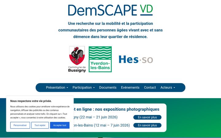 Screenshot of demscape.ch