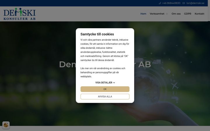 Screenshot of demski.se